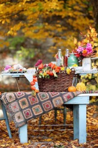 Fall picnic